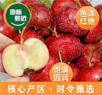 山胖子山楂  新鲜山楂   原产地直发1500g/箱